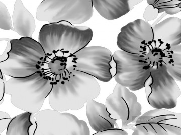 Schwarz weiß Werke - Schwarzweiß Blumen xsh500